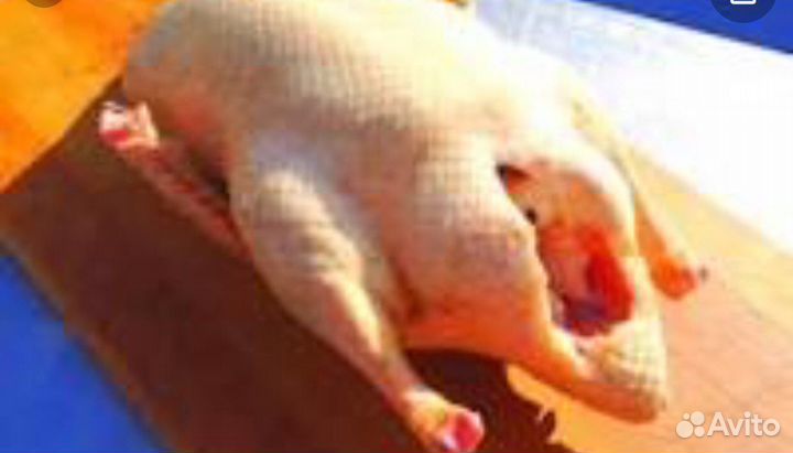 Мясо утки, петушки