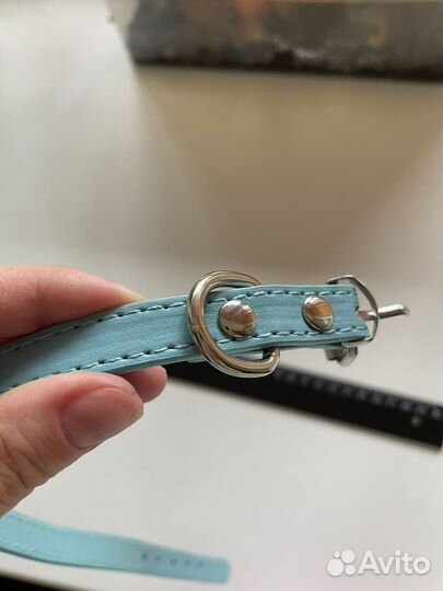 Ошейник для собак