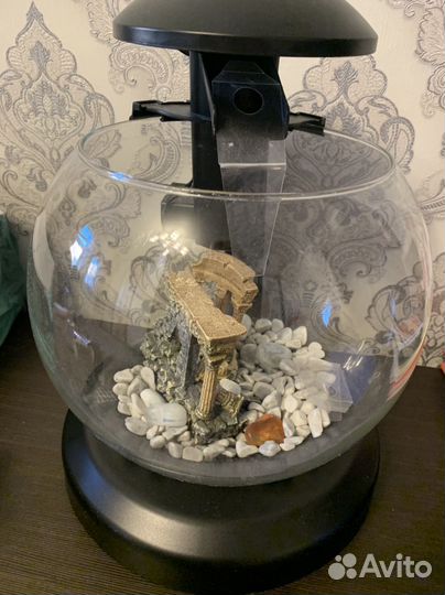 Аквариум Tetra
