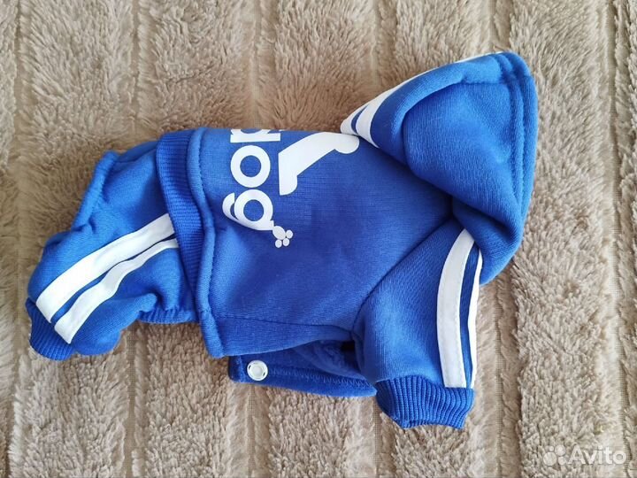 Одежда для собак мелких пород