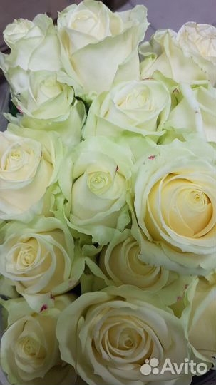 Свежесрезанные цветы