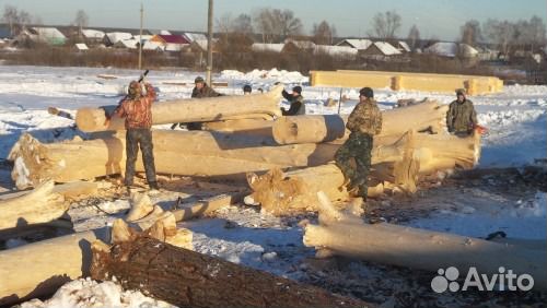 Срубы домов, бань, коттеджей под ключ с доставкой