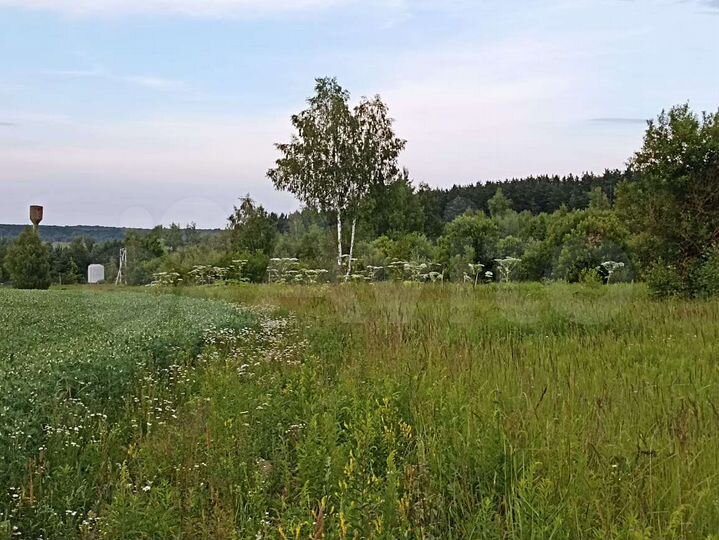 Участок 8,1 сот. (СНТ, ДНП)
