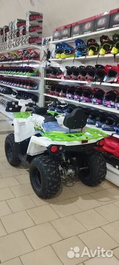 Квадроцикл 200 shark