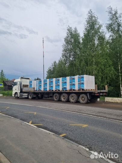 Газоблок 600Х300Х250