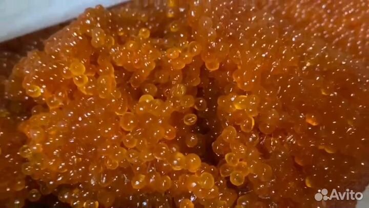 Красная икра горбуши 2023 Камчатка