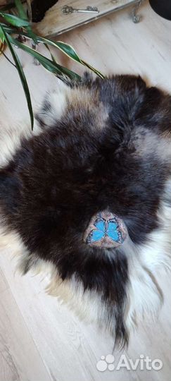 Шкура козы длинношеостная