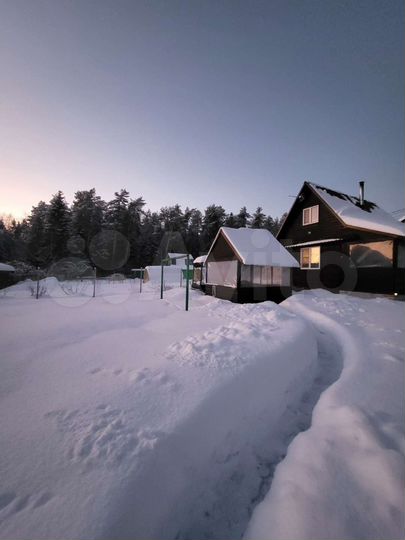 Дом 50 м² на участке 4 сот.