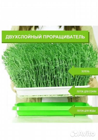 Проращиватель для микрозелени