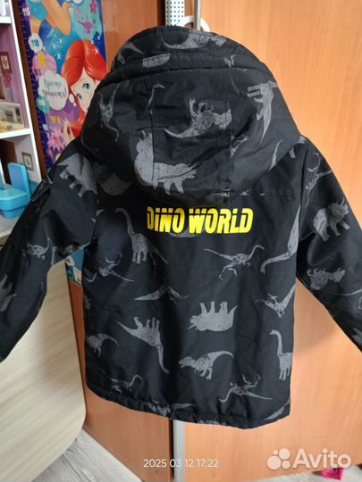 Куртка/штаны весна/деми