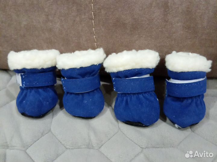 Ботиночки для собак