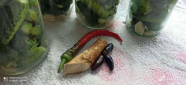 Продам огурцы