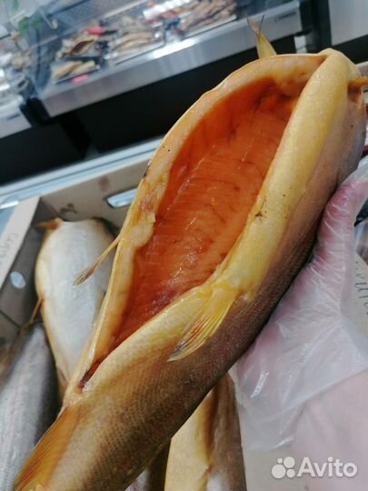 Рыба горячего копчения, холодного копчения
