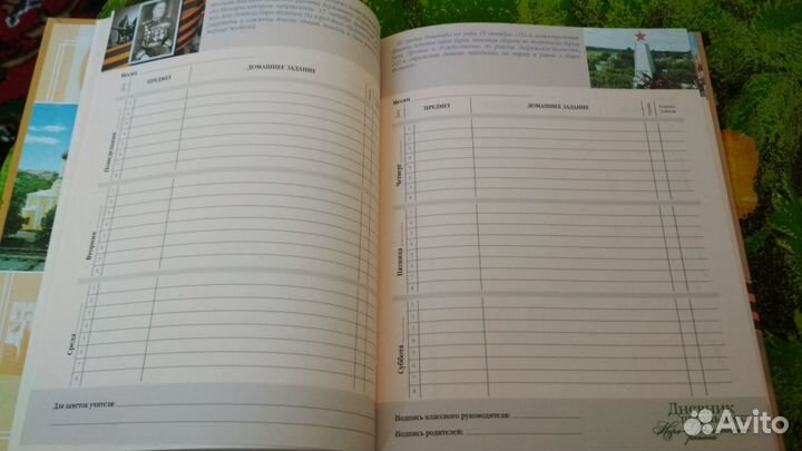 Дневник школьника