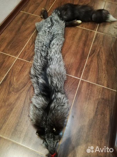 Шкура чернобурки