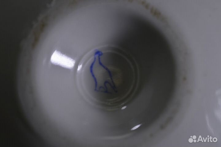 Пашотница Фарфоровая 