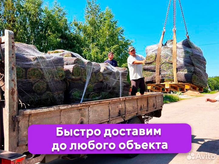 Рулонный газон. Газонная трава в рулонах