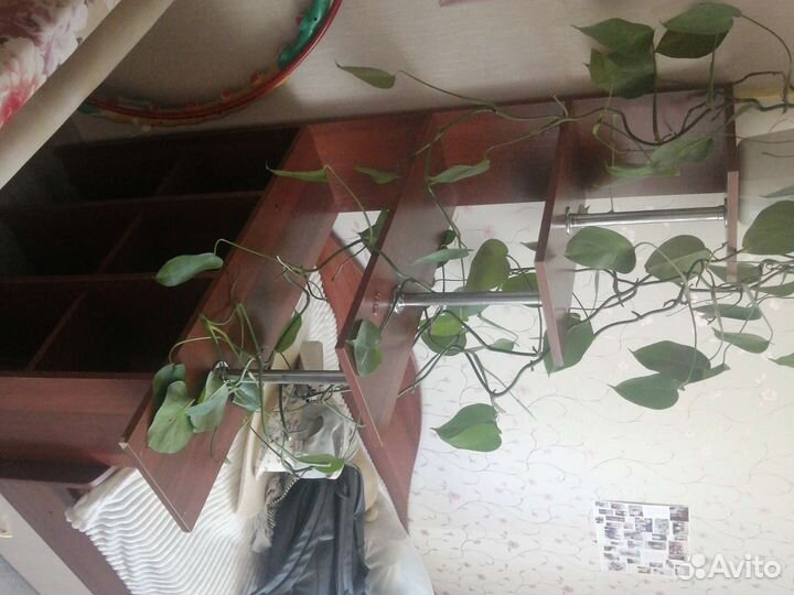 Продам полку