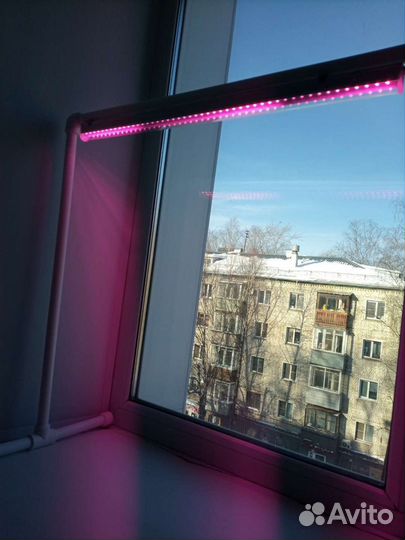 Фитолампа на подставке