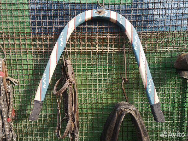 Продам сбруя