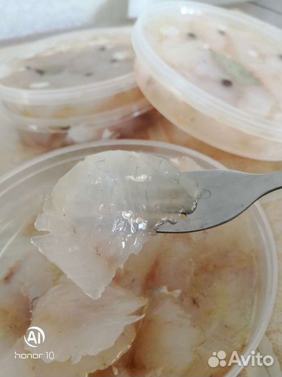 Балык судака