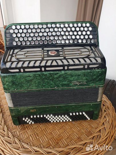 Тула 209 баян