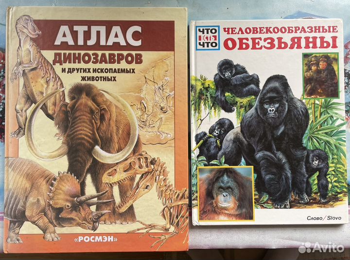Книги-энциклопедии