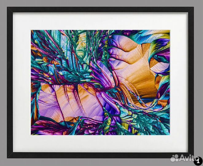 Фотографии