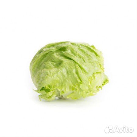 Семена Салата 