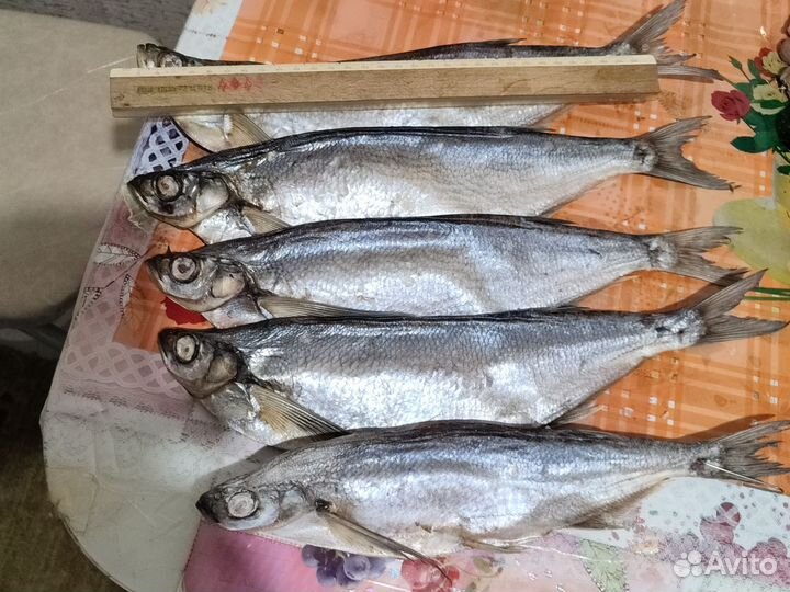 Чехонь вяленая