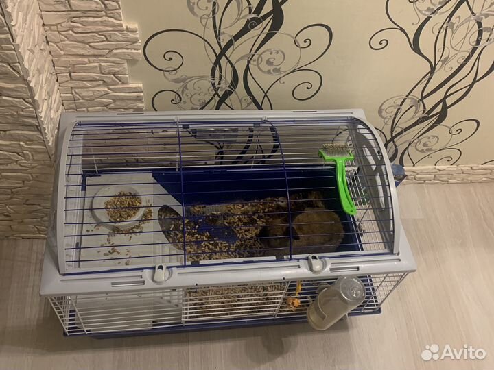 Клетка для декоративного кролика