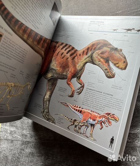 Большой иллюстрированный словарь Дорлинг Киндерсли