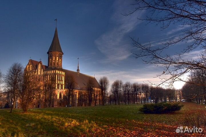 Обзорная по Калининграду с органным концертом