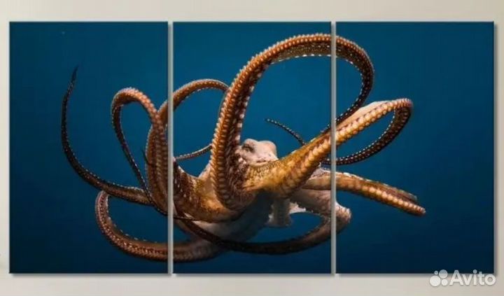 Картина новая модульная