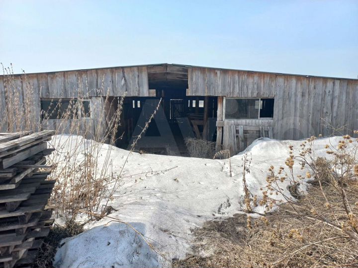 Участок 80 сот. (ИЖС)