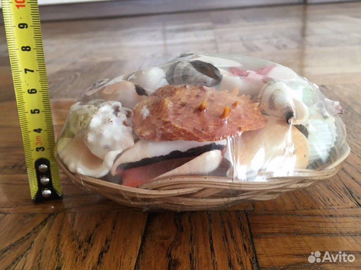 Ракушки для аквариума