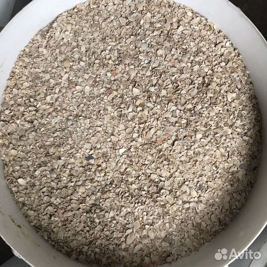 Ракушка кормовая