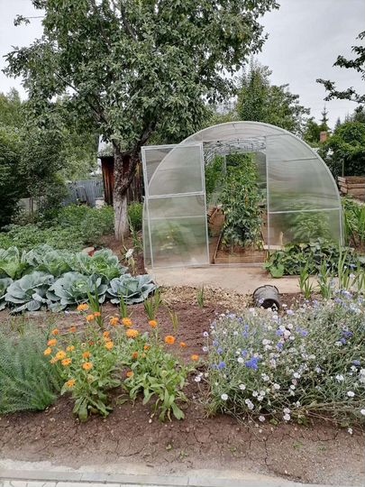 Дача 87,3 м² на участке 5,2 сот.