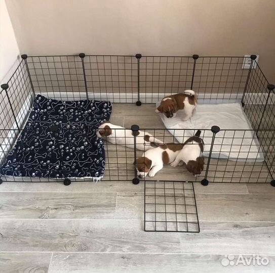 Клетка вольер для собак и кошек