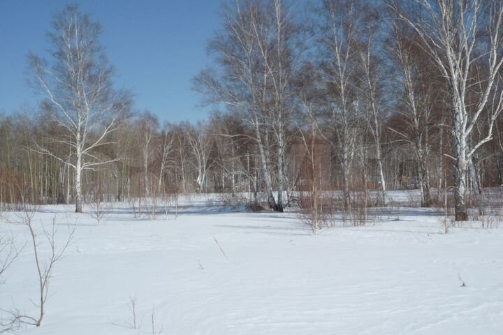 Участок 2,8 га (СНТ, ДНП)