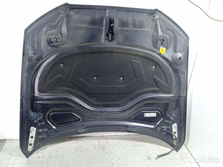 Капот Audi A6/RS6/S6