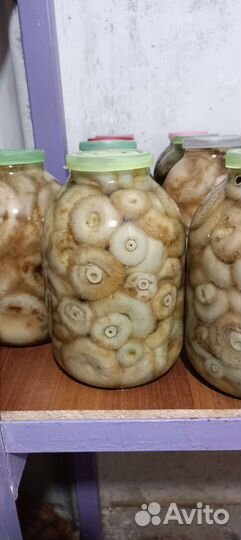 Грибы грузди (соленые)