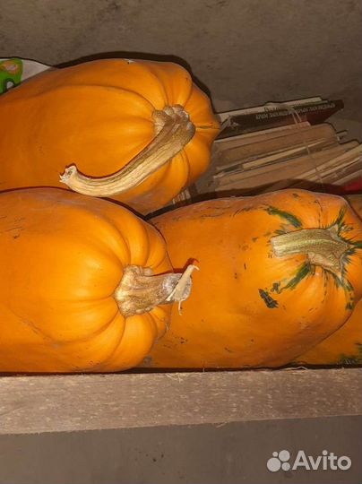 Рассада помидоры, перцы, баклажаны, клубника