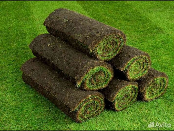Газон рулонный спортивный