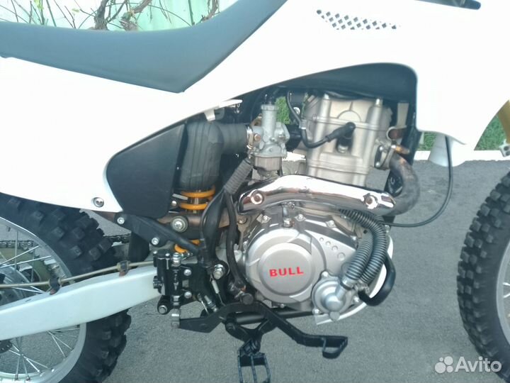 Bull R8