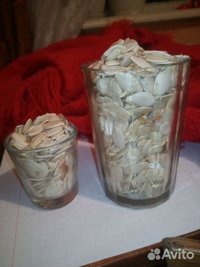 Семена свеклы столовой и кормовой, моркови