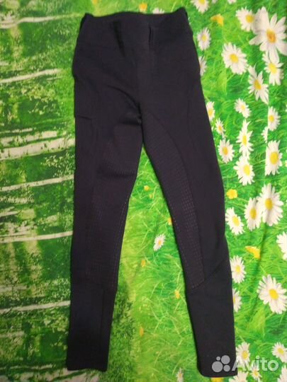 Бриджи для конного спорта