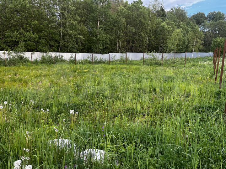 Участок 6 сот. (СНТ, ДНП)