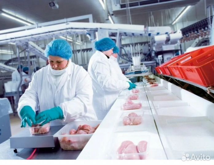 Упаковщик вахта