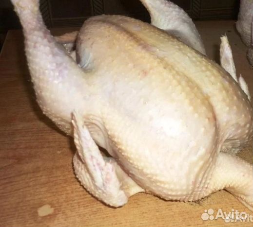 Мясо домашней птицы